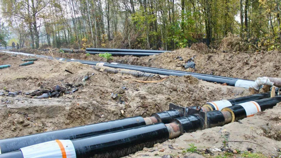 Фото: t.me/dmitriyvikulov