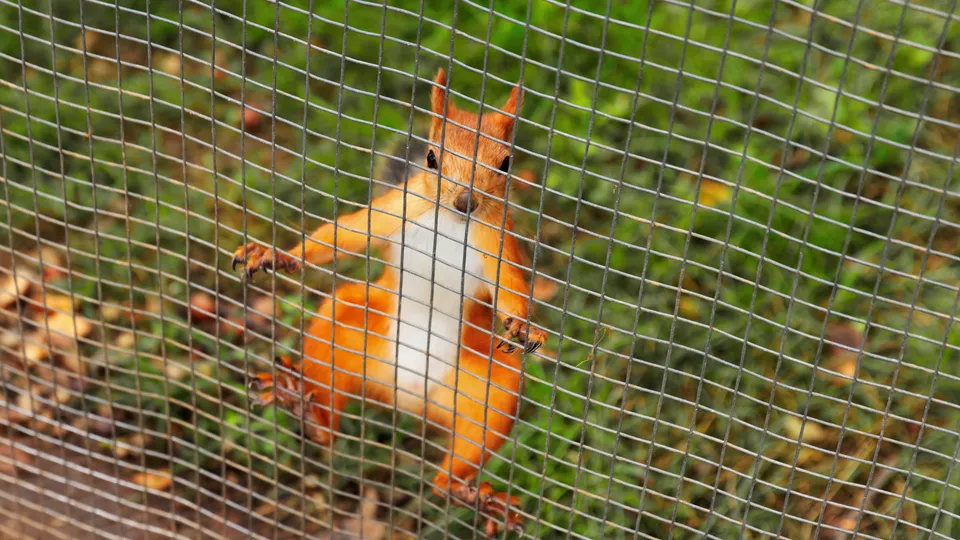 Фото: медиасток.рф