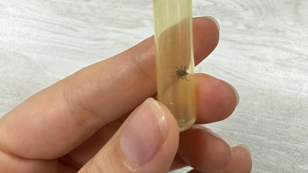 REGIONS/Александра Степанова