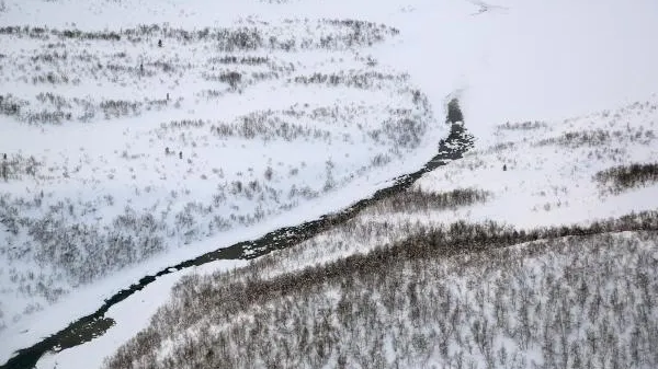 На Чукотке нашли оленевода, который пропал полмесяца назад
