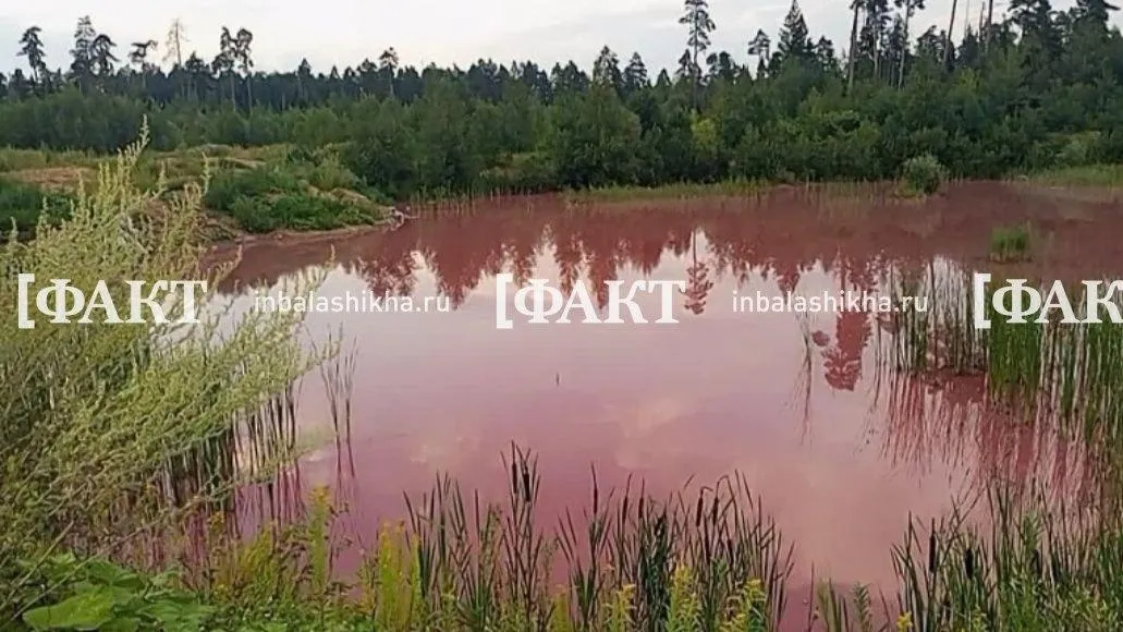 Источник: социальные сети