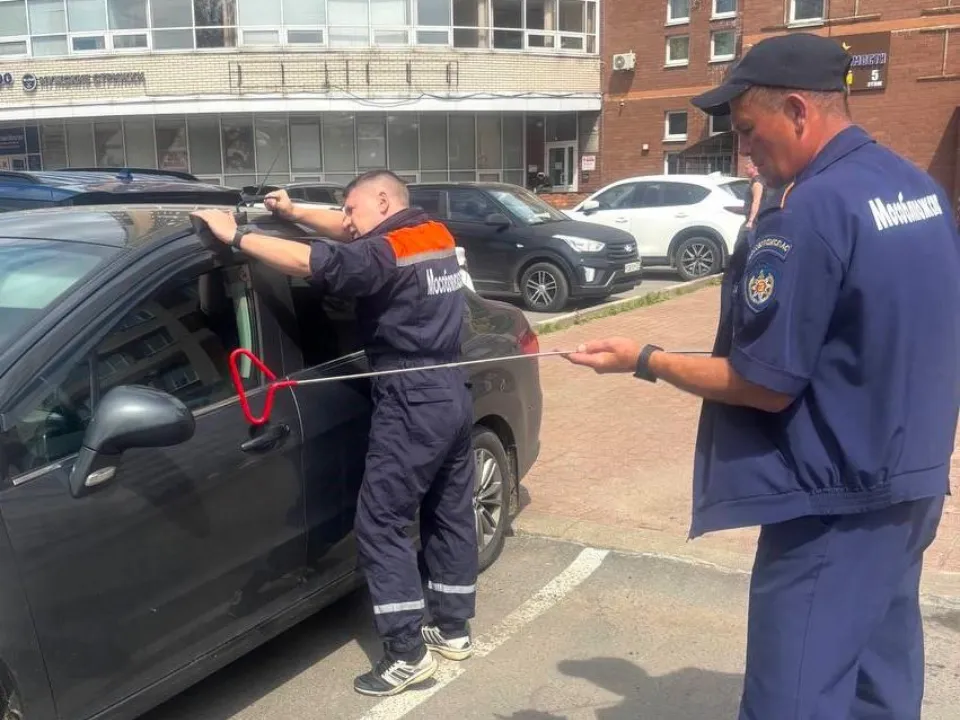 Фото: ГКУ МО «Мособлпожспас»