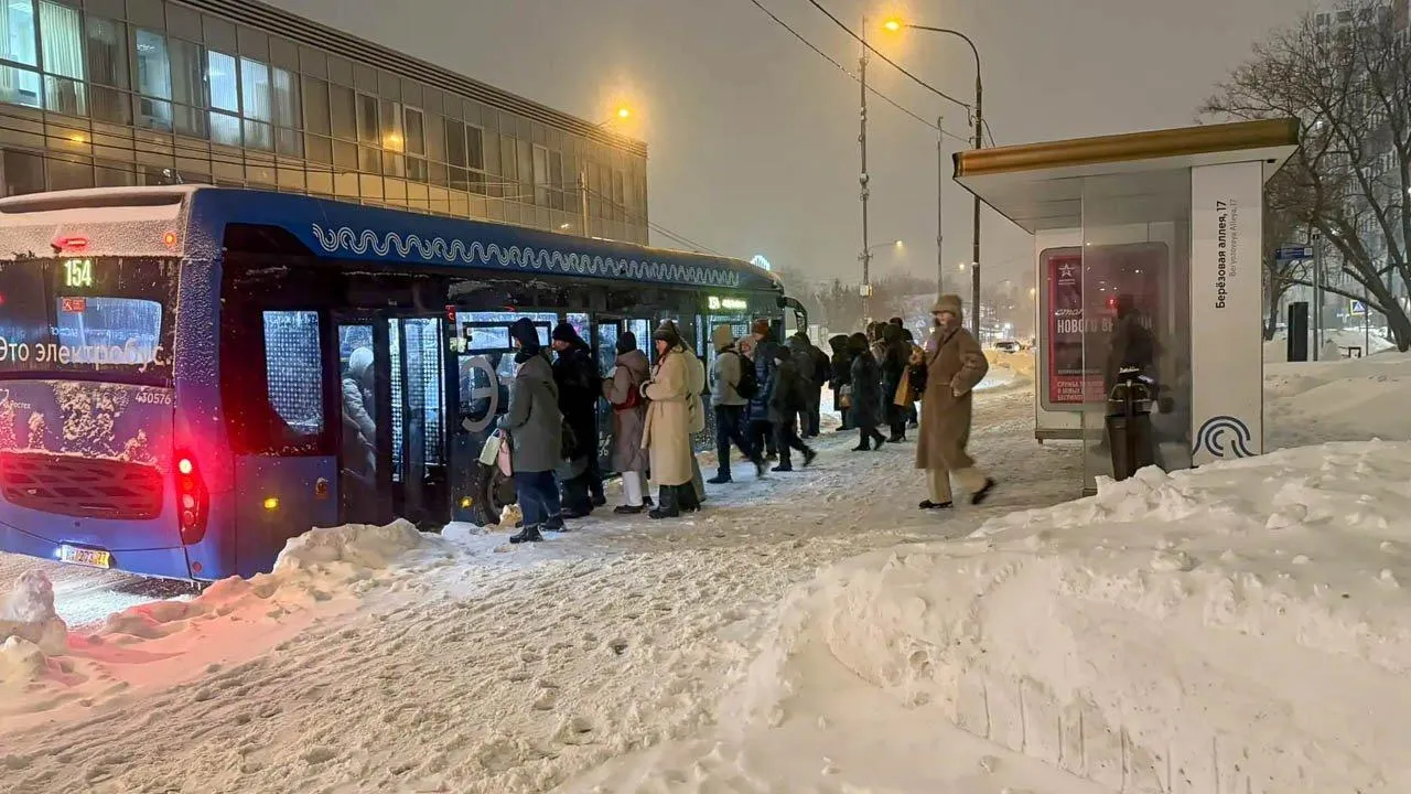 REGIONS/Анастасия Малышенко