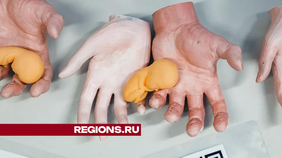 Фото: Иван Чижов