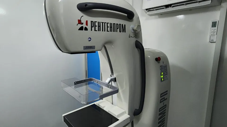 Фото: МедиаБанк Подмосковья / Екатерина Данилина