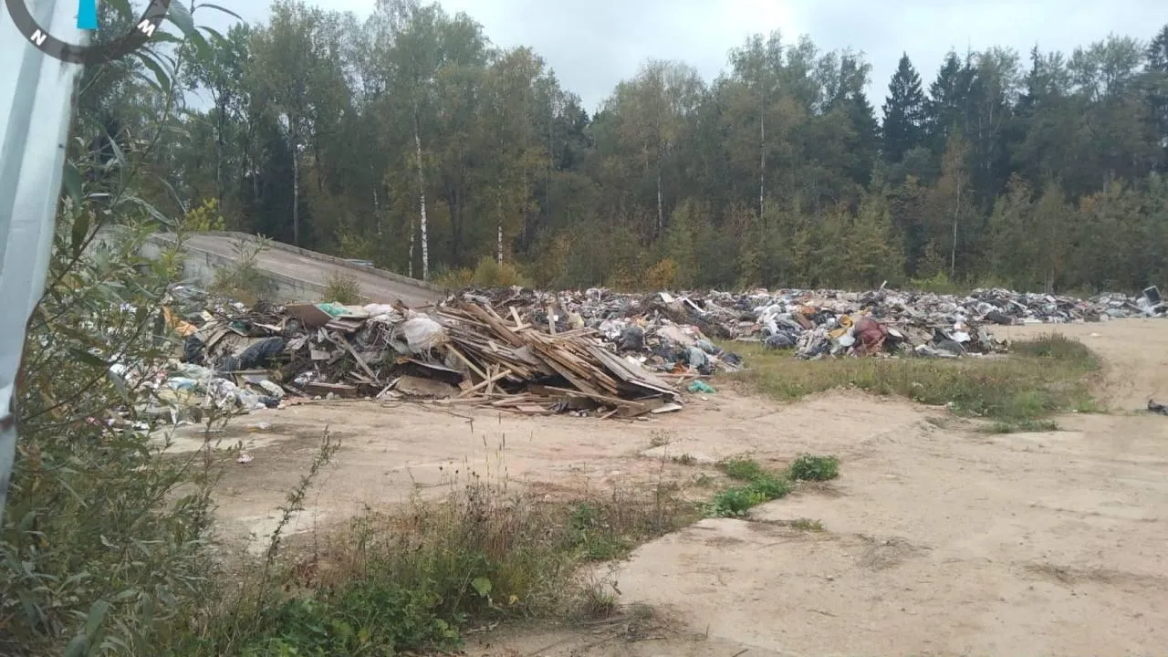 Фото: министерство экологии и природопользования МО