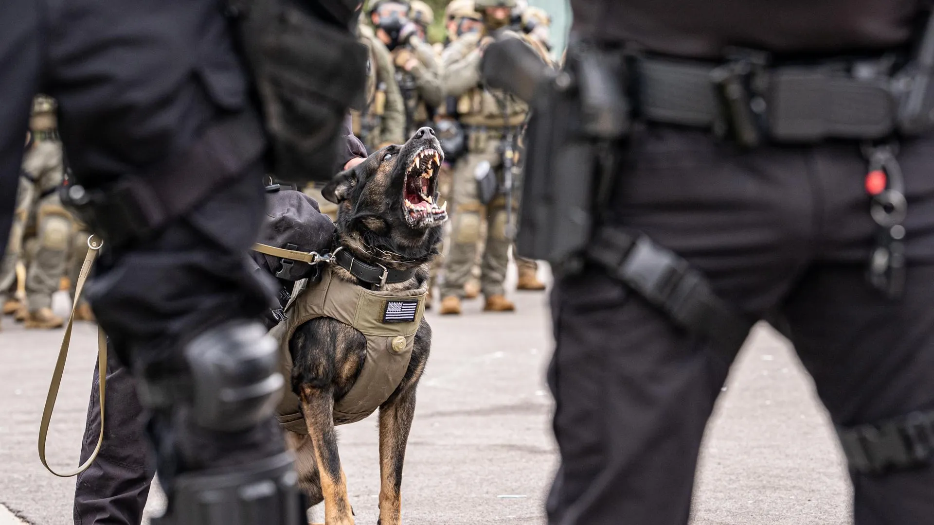 Jen Golbeck/Keystone Press Agency