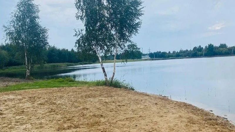 Двадцать пять тысяч жителей Подмосковья приняли участие в голосовании по расчистке водоемов