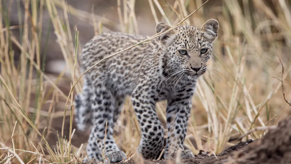 Фото: freepik.com