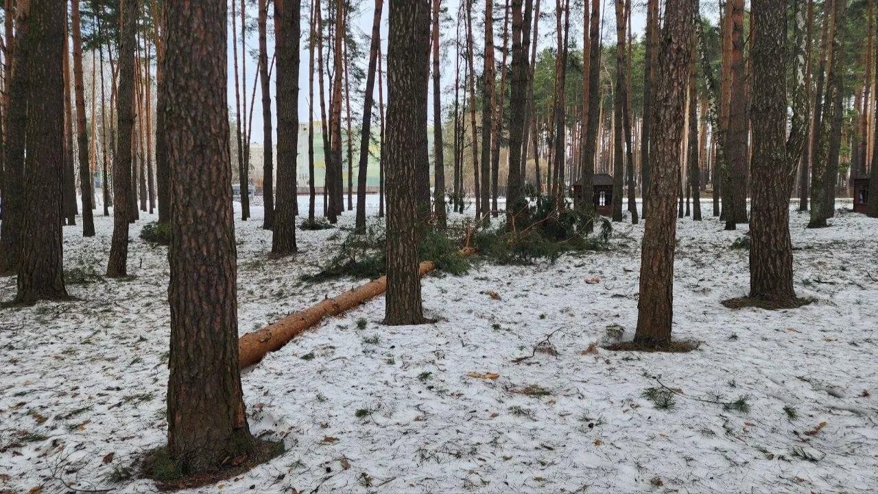МедиаБанк Подмосковья/Эдуард Стратонов