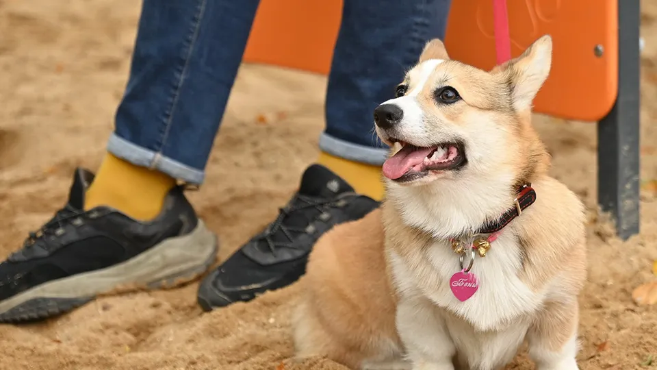 Фото: Сергей Демянюк