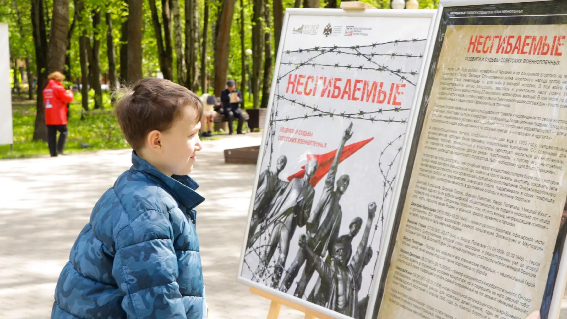 Картинка