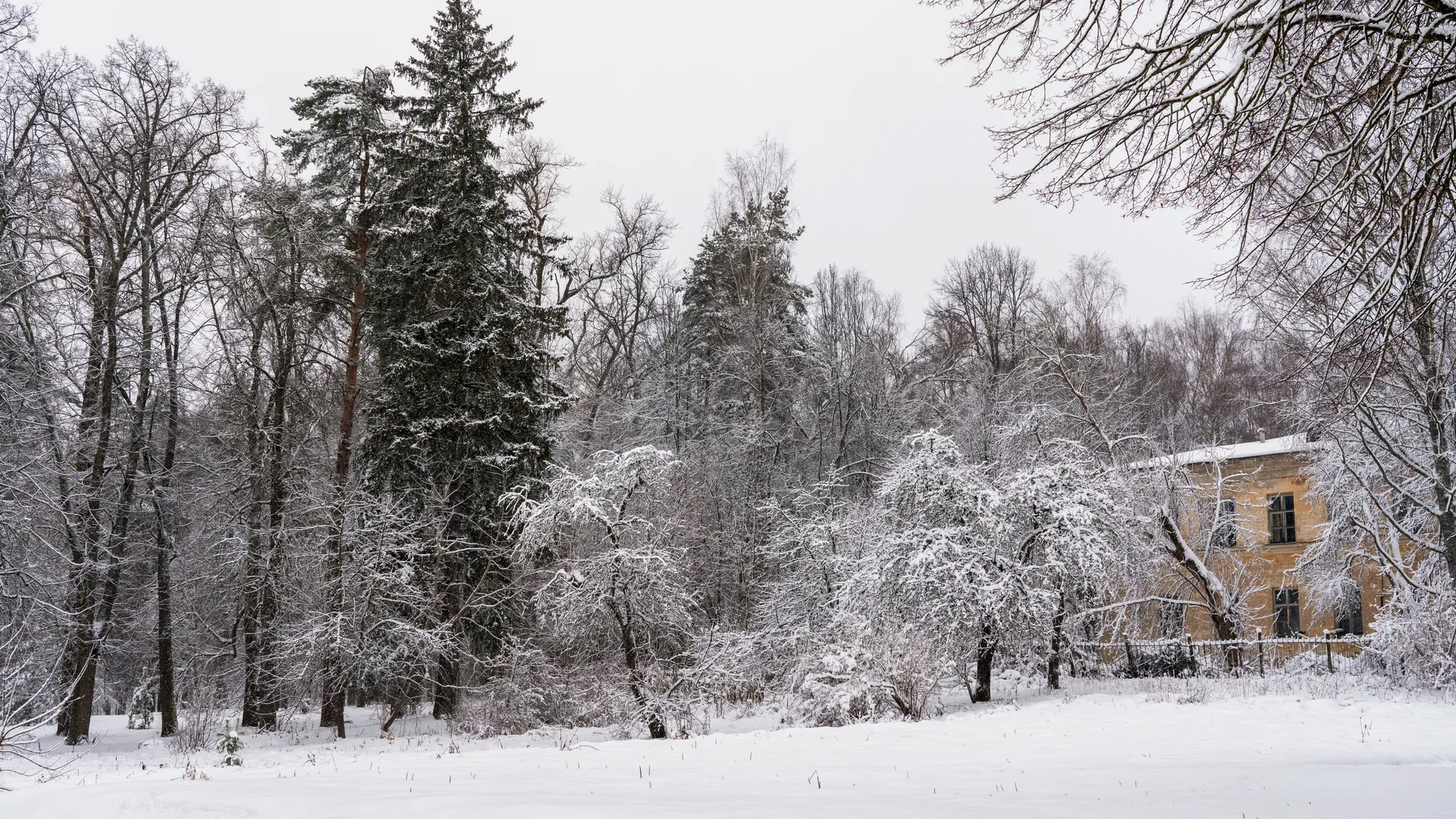 Жильцы в шоке: за засыпанные снегом дворы УК оштрафуют на сотни тысяч рублей