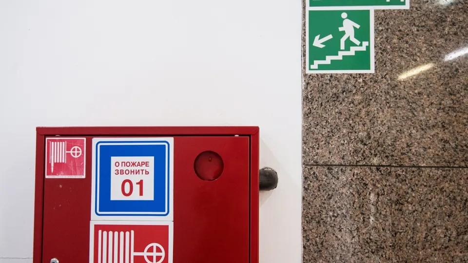 Фото: РИА Новости/Евгения Новоженина