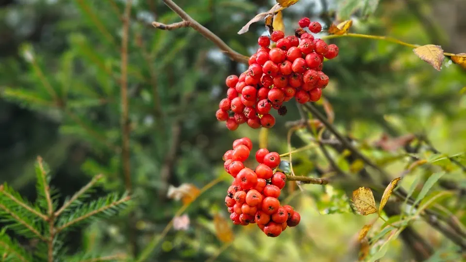 Фото: REGIONS/Александр Дрожжин