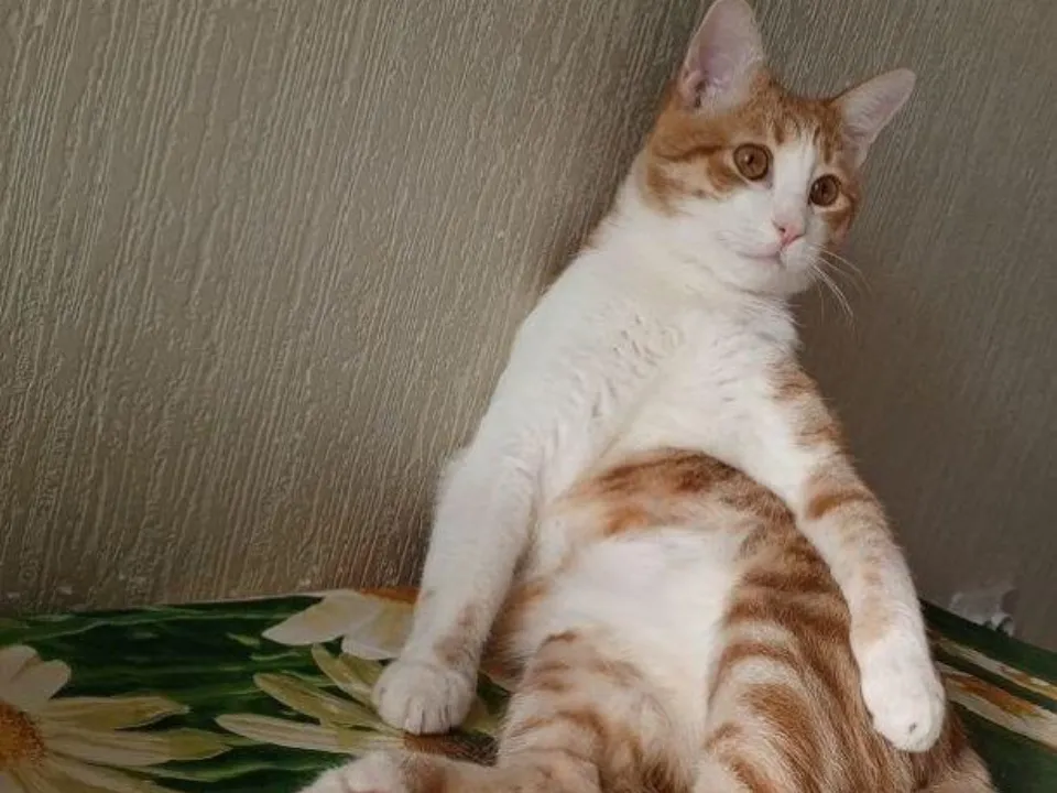 Фото: Министерство жилищной политики Московской области