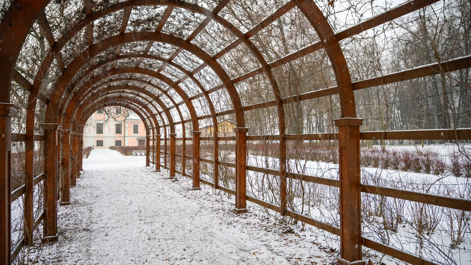 Зимняя сказка для арабских гостей: богачи из пустыни скупают все валенки и ушанки в Москве