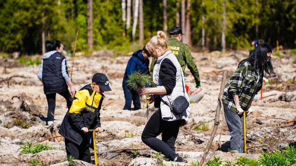 Фото: Комлесхоз МО