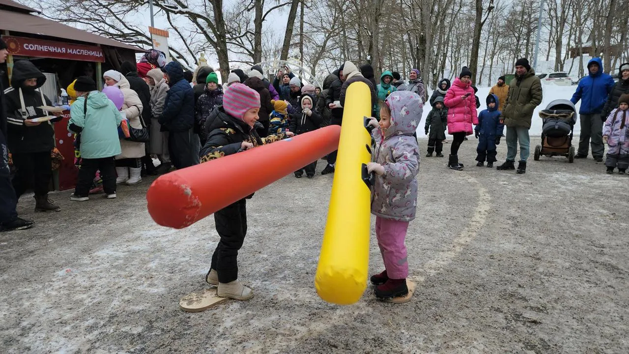 МедиаБанк Подмосковья/Екатерина Данилина