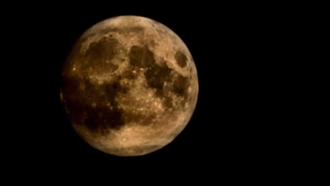 Дарья Леонова