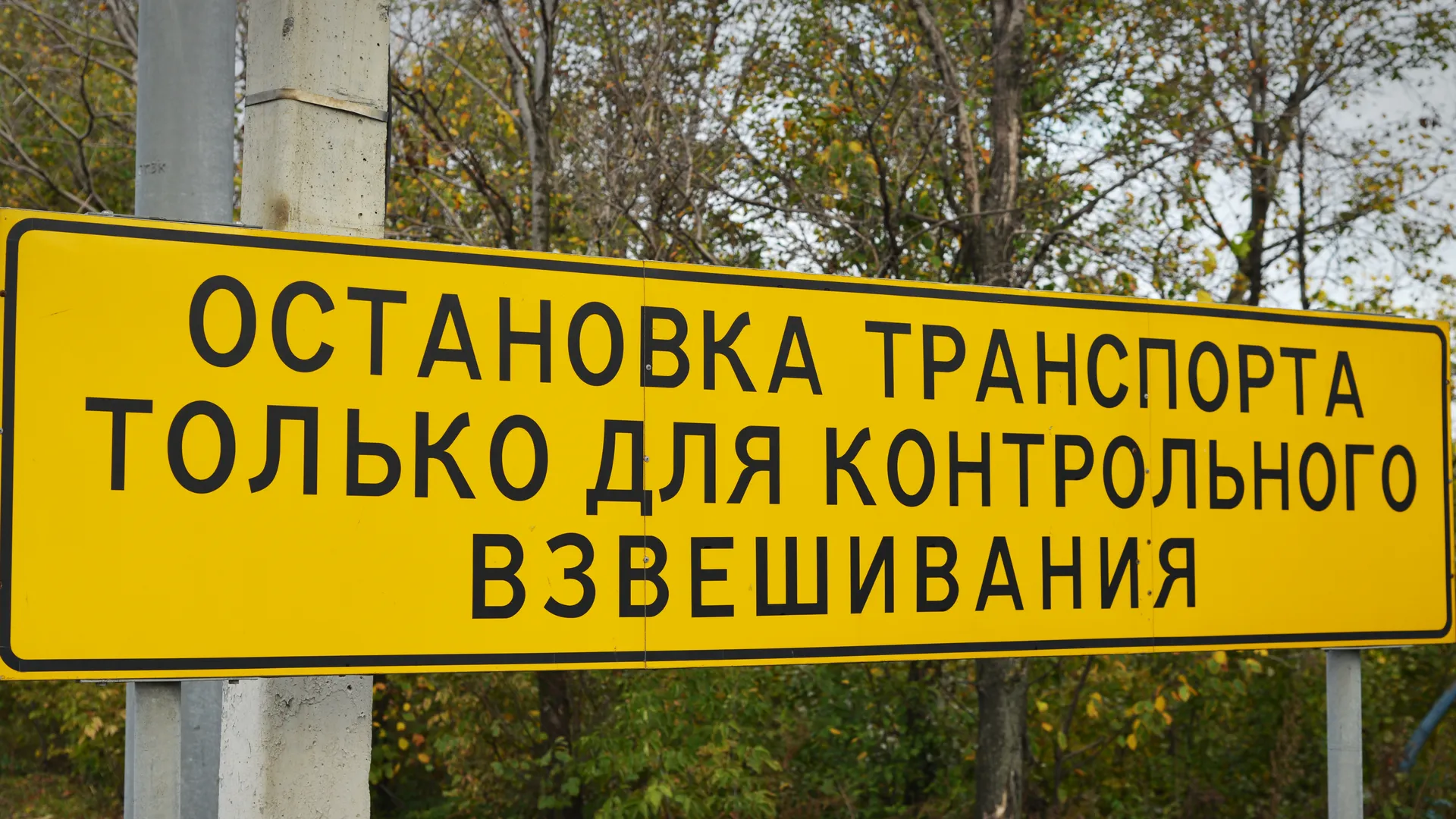 Работа пункта весового контроля