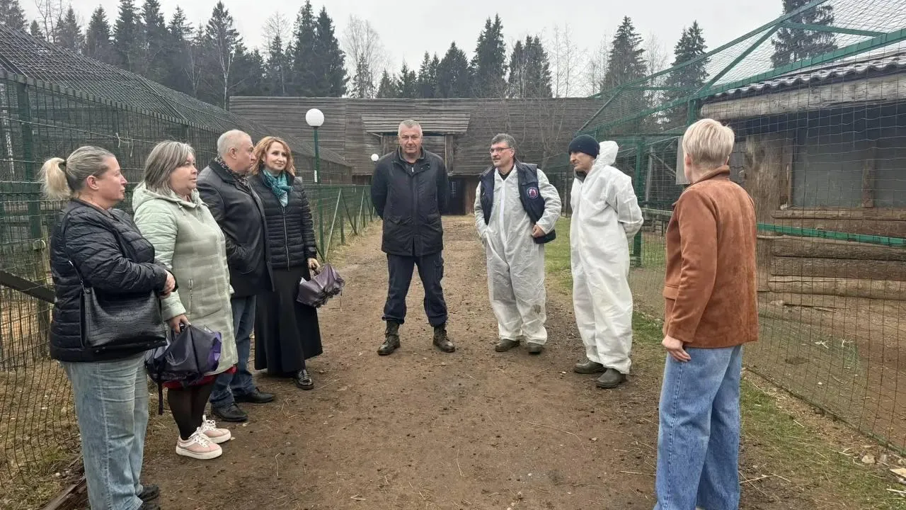 Картинка
