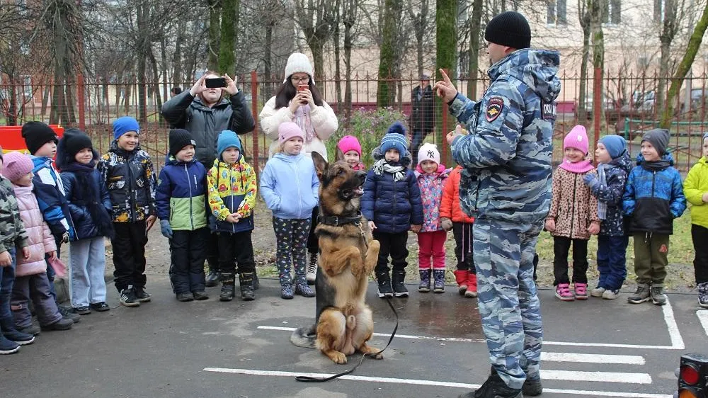 Фото: УМВД России «Серпуховское»