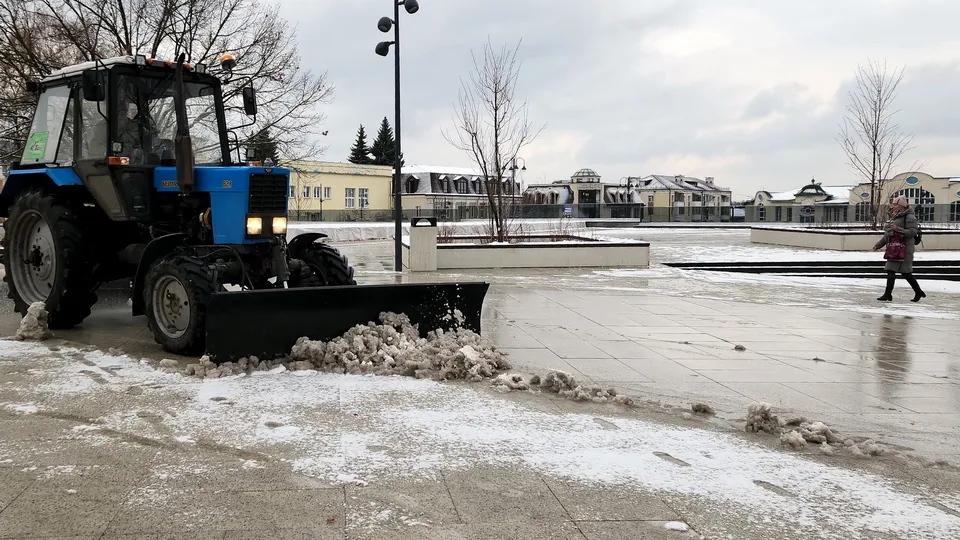 Фото: Медиабанк Подмсоковья/Ксения Пашуто