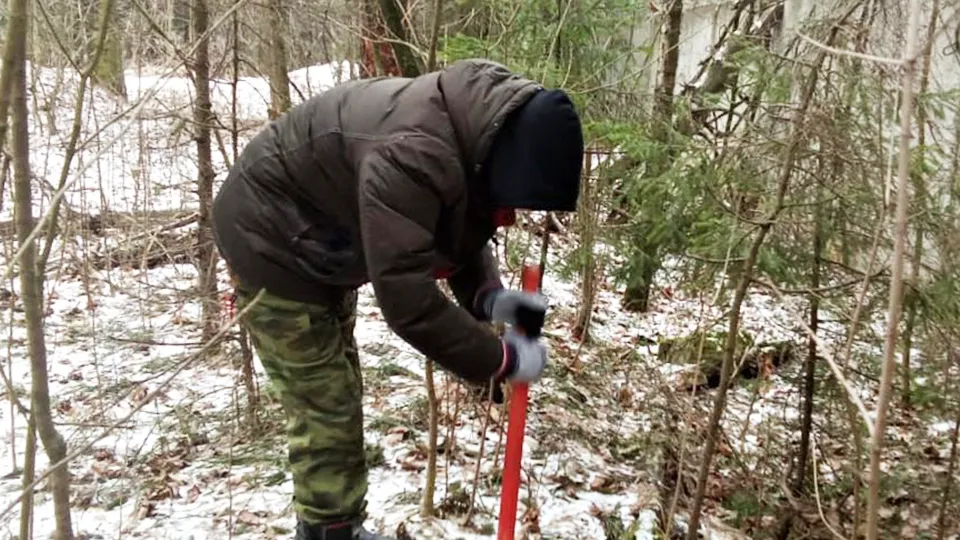 Фото: Комитет лесного хозяйства МО