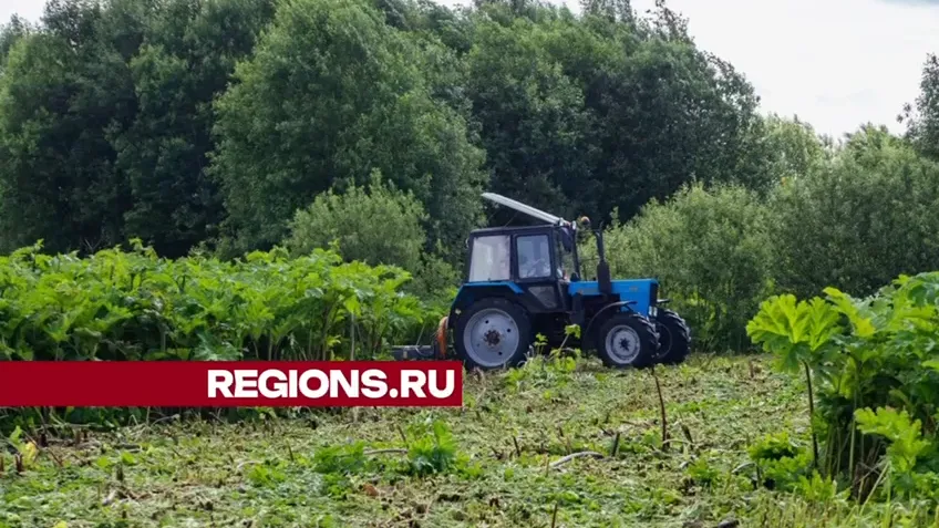 Фото: Михаил Дорошин