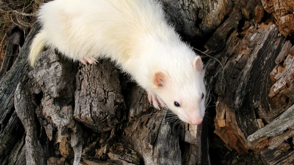 Фото: istockphoto.com