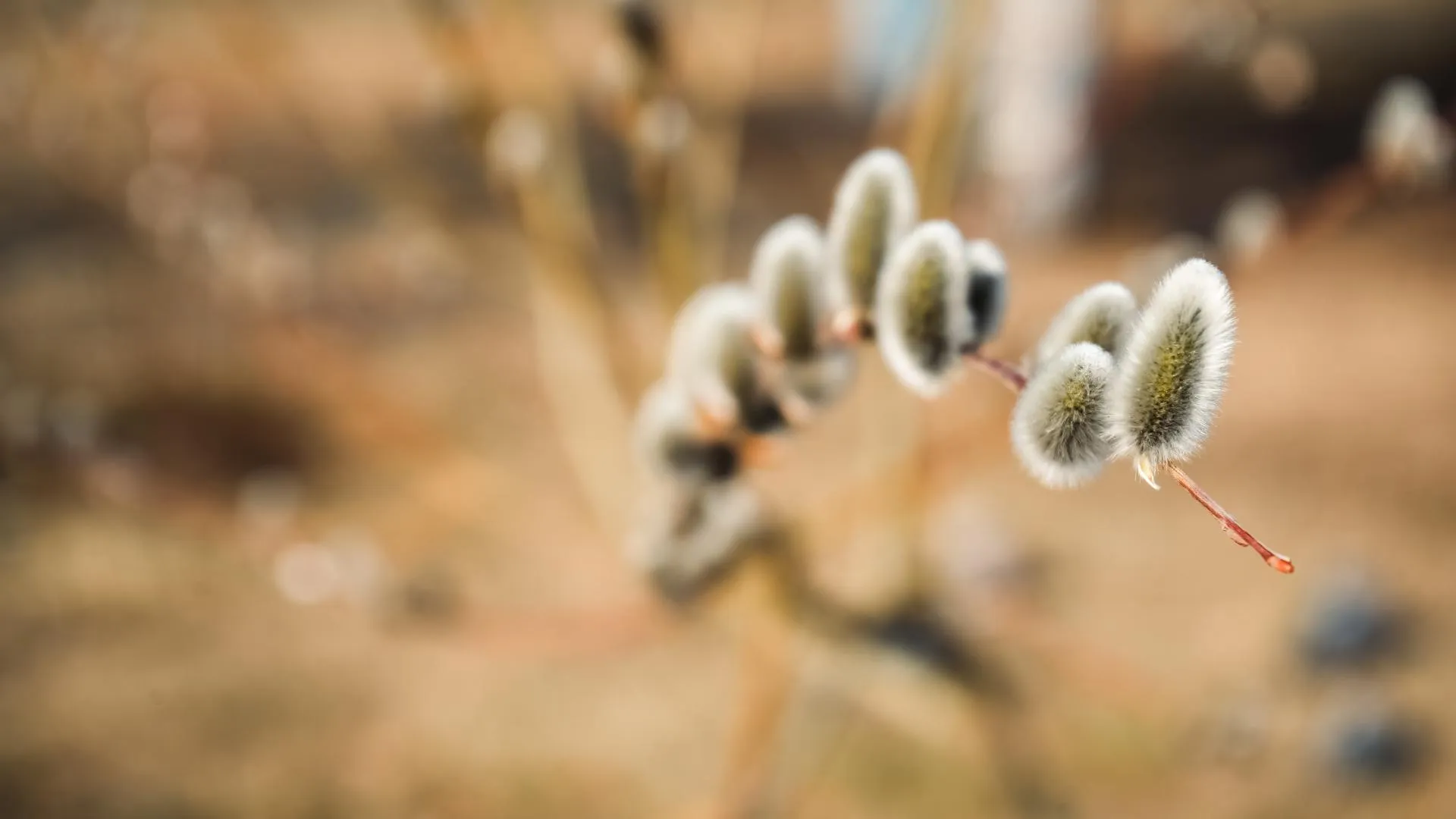 МедиаБанк Подмосковья/Мария Юдина