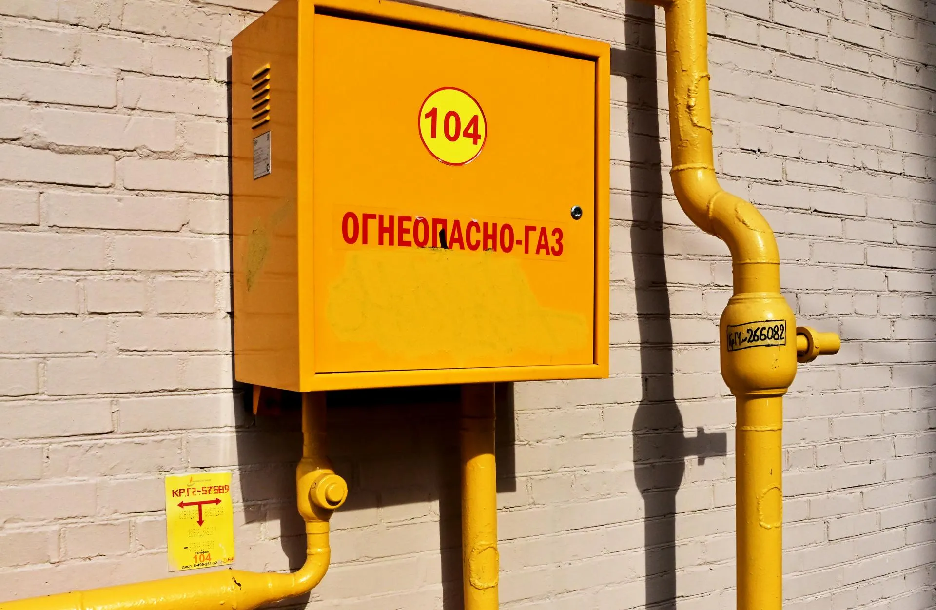 Vladimir Baranov/Globallook Press