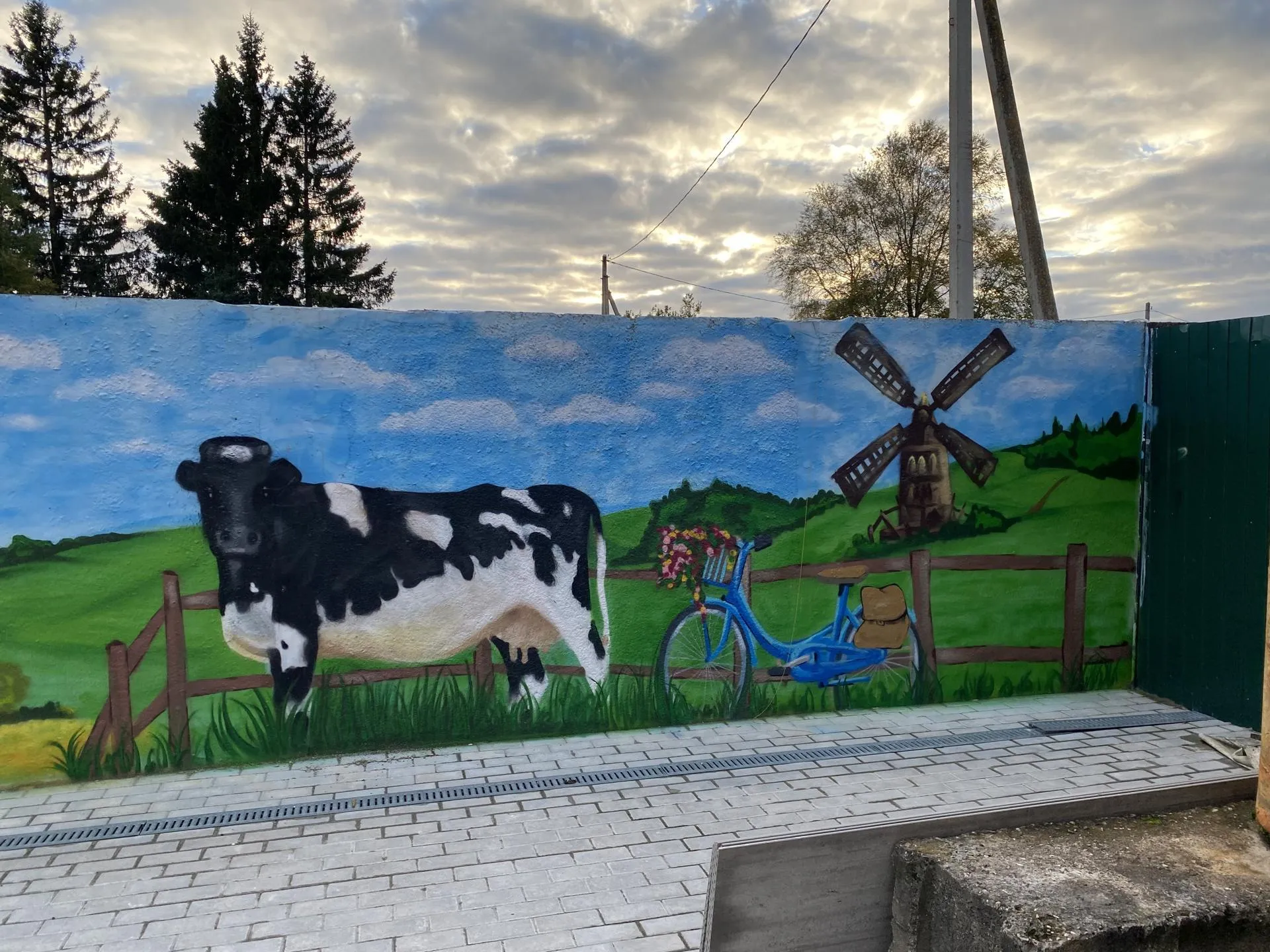 Фото: Никита Попов