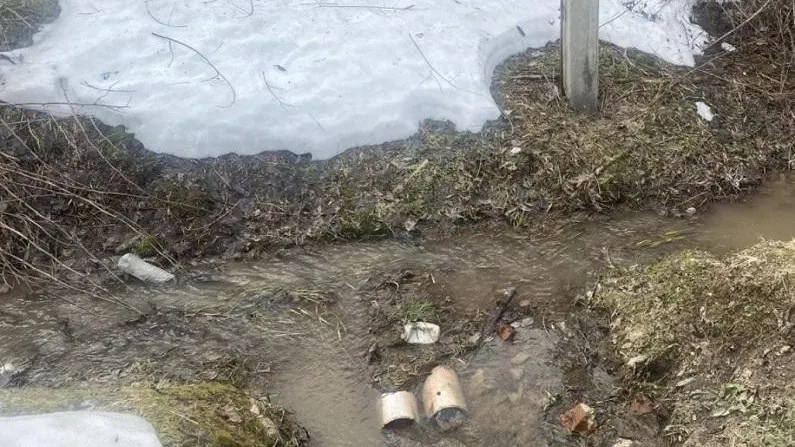 Фото: Минэкологии МО