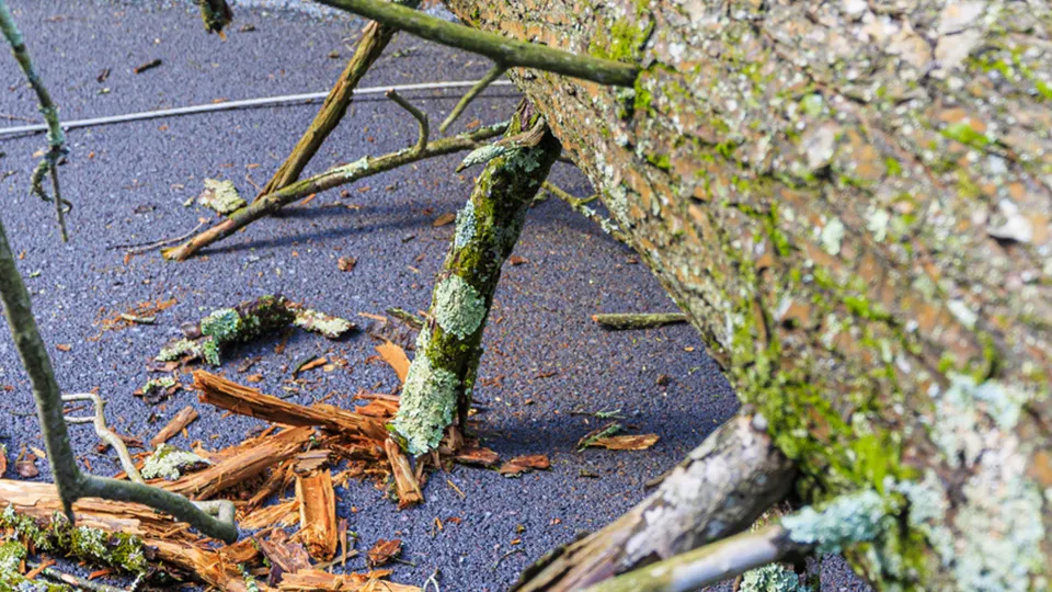 Фото: istockphoto.com