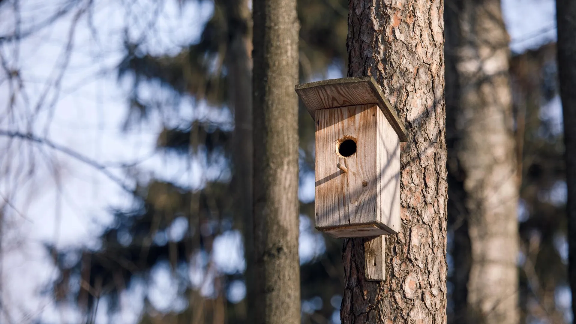 медиасток.рф