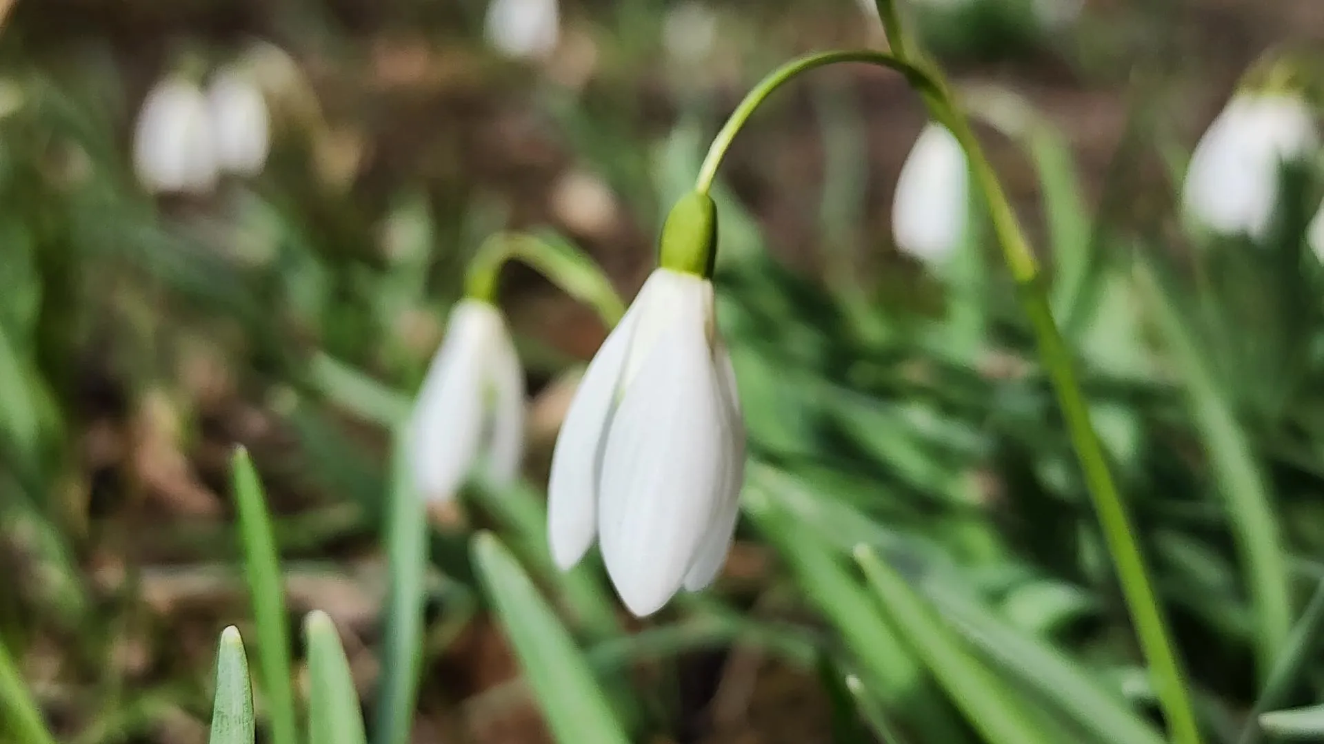 МедиаБанк Подмосковья/Ксения Пашуто