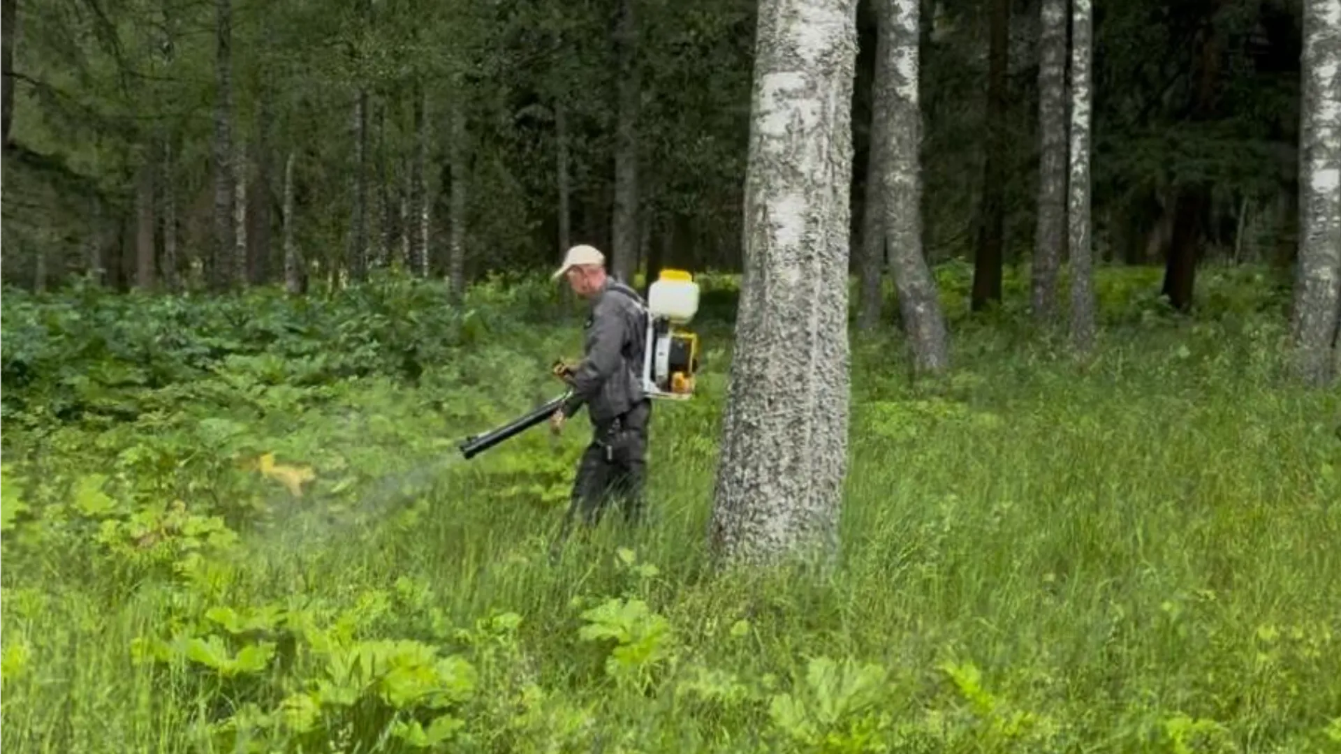 Фото: МедиаБанк Подмосковья/Татьяна Рунова