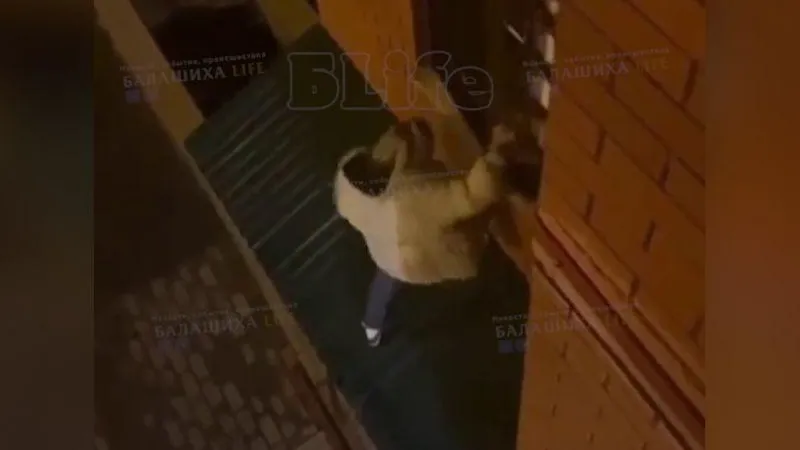 Балашиха Life / ВКонтакте
