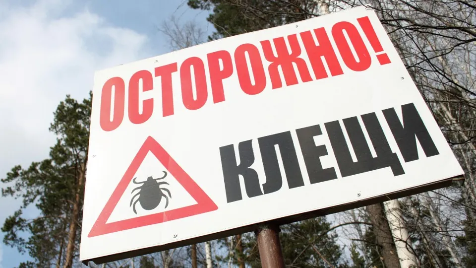 Фото: РИА Новости/Павел Лисицын