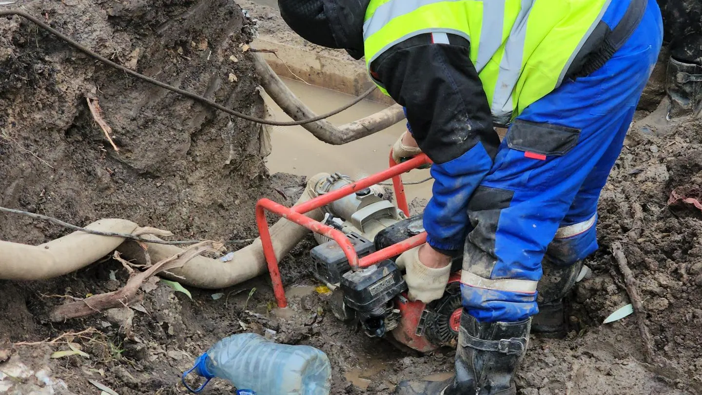 Фото: медиасток.рф