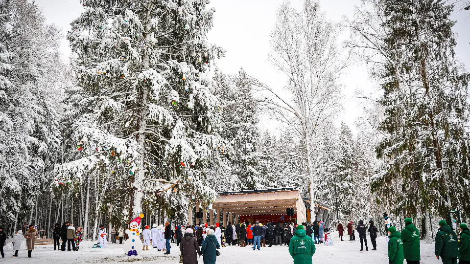 Фото: МедиаБанк Подмосковья/Данила Кирьянов