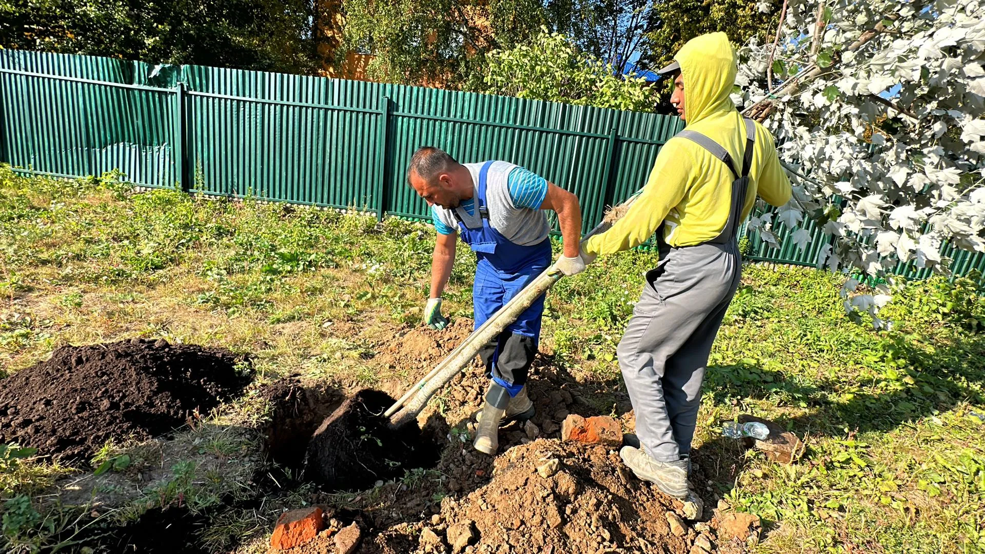 Мария Петрова