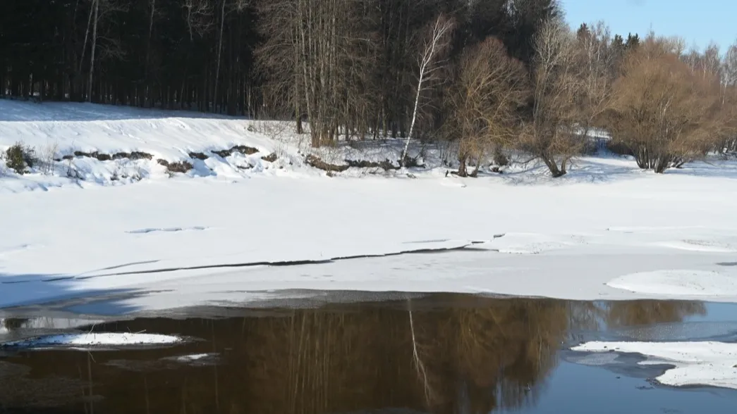 Фото: пресс-служба губернатора