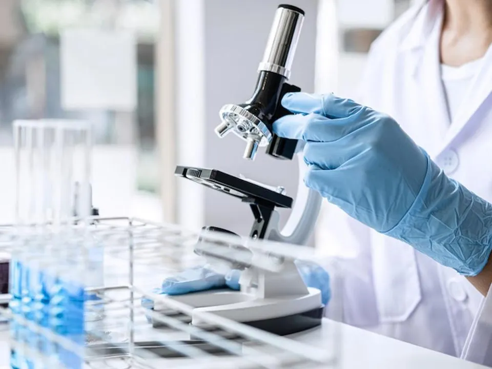 Споры, готовые напасть в любой момент: выяснилось, грозит ли России эпидемия сибирской язвы