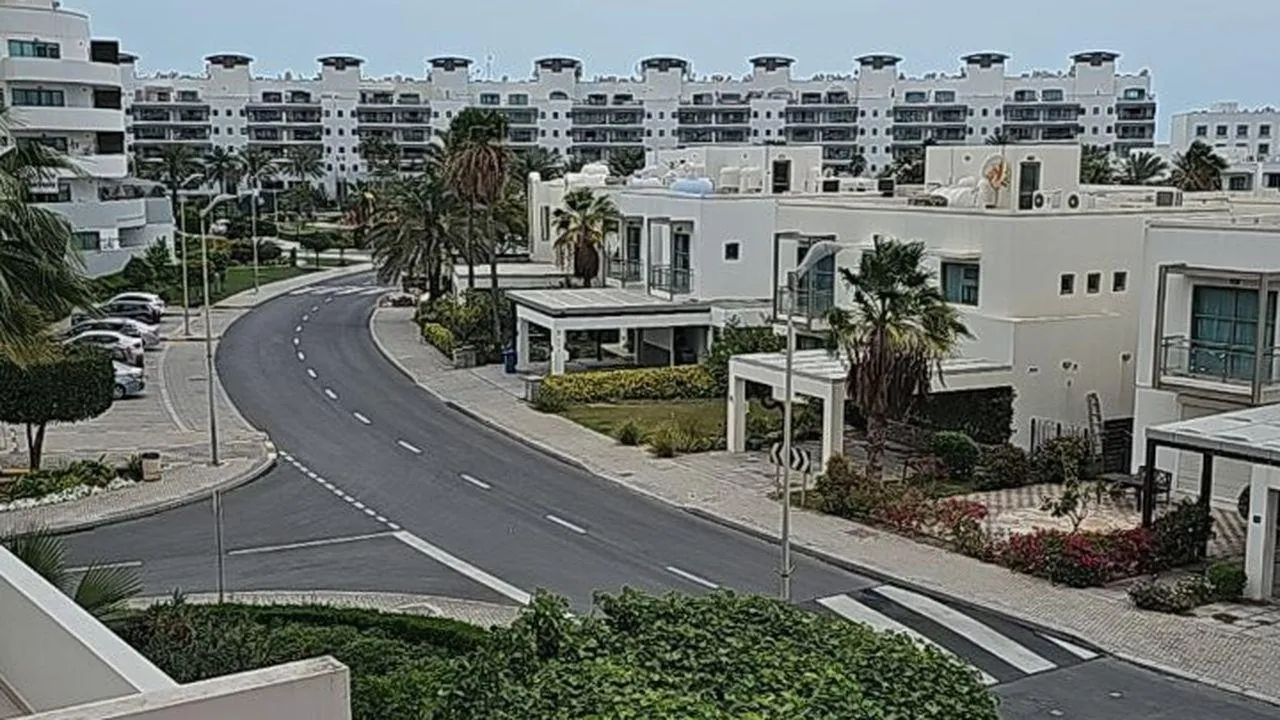 личный архив Алены Смоляковой