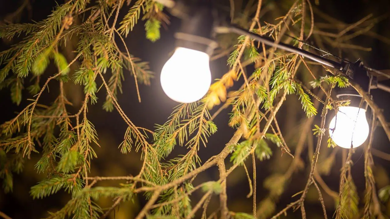 REGIONS/Владимир Ерастов