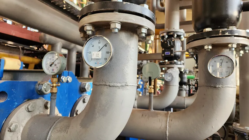 Фото: Дмитрий Алексеенко