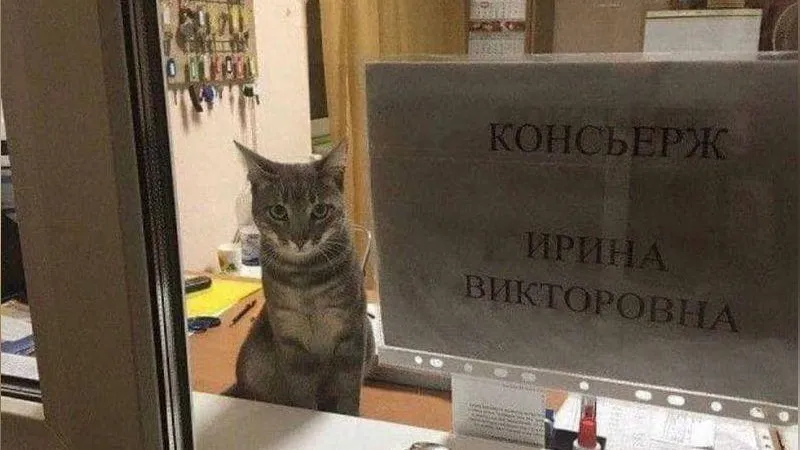 vkoroleve / Instagram